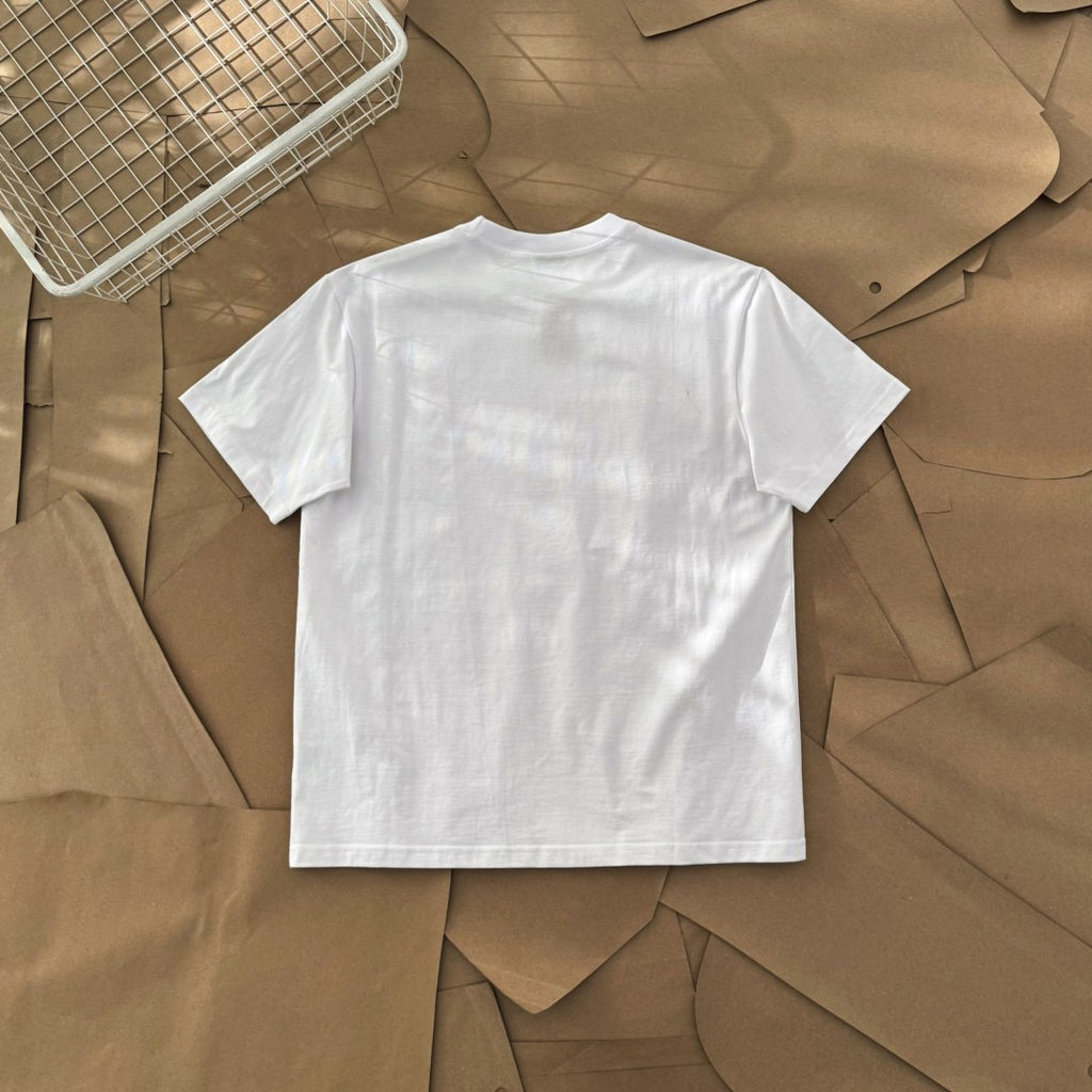 Streetwear Stussy Lion Crest Graphic T-Shirt