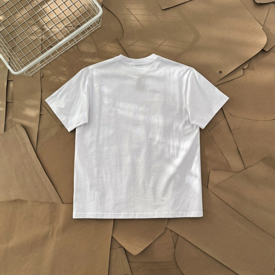 Streetwear Stussy Lion Crest Graphic T-Shirt